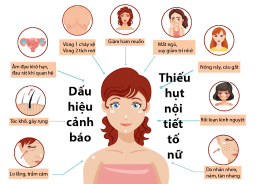 Thức đêm làm việc có thể phá vỡ nội tiết nữ ra sao?