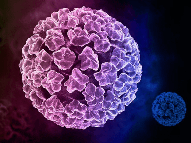 Bị viêm phụ khoa 3 tháng đầu thai kỳ có nguy hiểm? Cảnh báo những rủi ro mẹ bầu không nên xem nhẹ