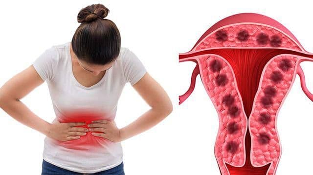 Kinh nguyệt có thể “hé lộ” tuổi thọ? Nghiên cứu chỉ ra dấu hiệu ở phụ nữ sống thọ